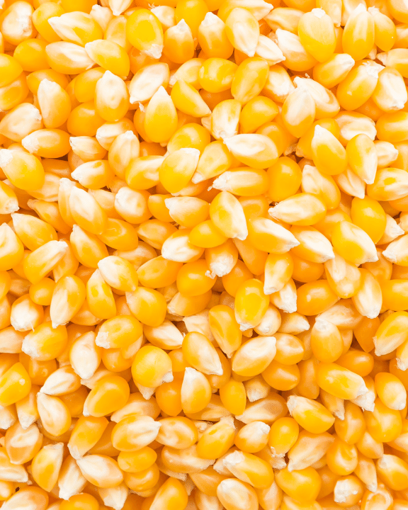 Corn