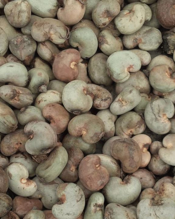 Raw Cashews